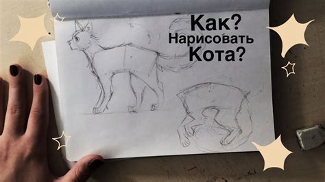 Создание эскиза кота-воителя в несколько шагов