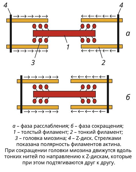 Сокращения