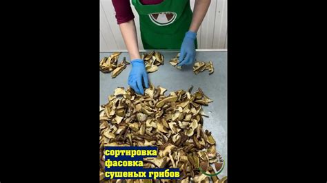 Сортировка и отделение непригодных грибов