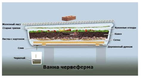 Составляющие для процесса компостирования