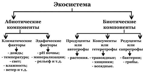 Состав и компоненты