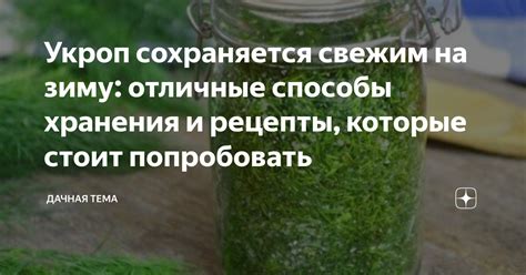 Сохранение зизифуса свежим на зиму: способы и советы