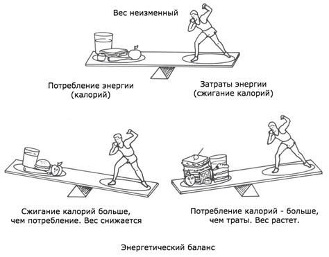 Способы восполнить энергетический баланс