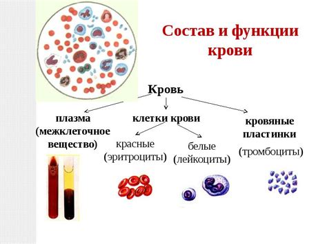 Способы восстановления крови после операции