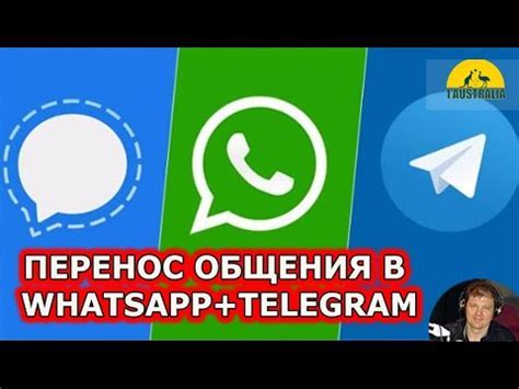 Способы общения в WhatsApp