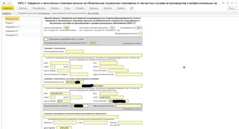 Способы проверки и редактирования отчета ЕФС1