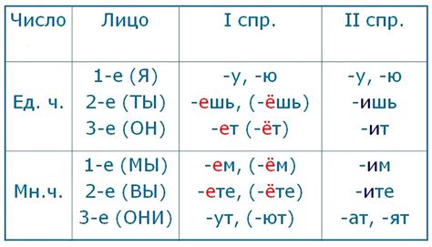 Спряжение глагола в лицах и числах