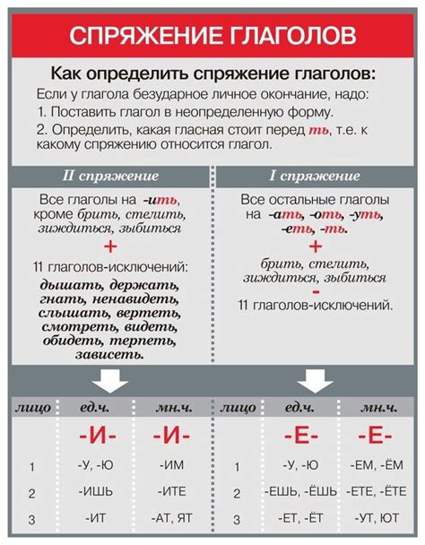 Спряжение глагола в русском языке