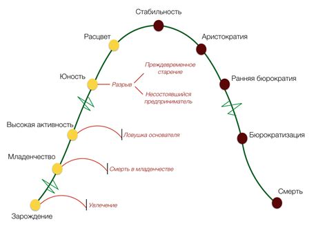 Стадии работы