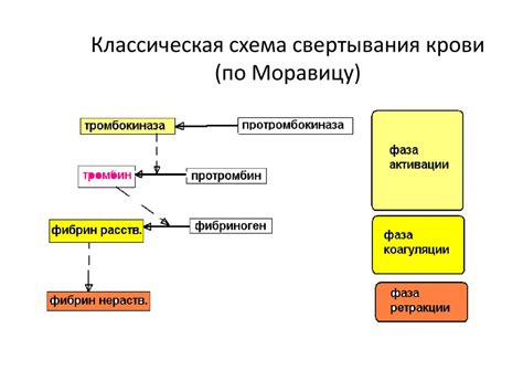 Стандарты и регуляции по предотвращению брызг крови