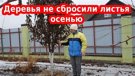 Стратегии удаления пешек