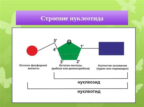 Структура инжектора слияния и его составные части