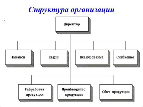 Структура и подразделения организации