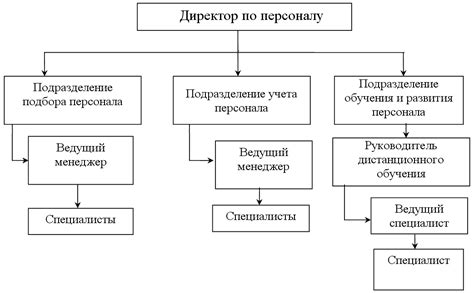 Структура и функции отдела кадров Валберис в Чехове