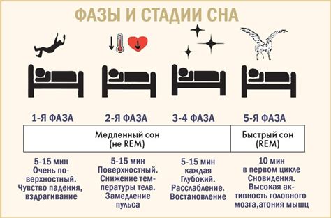 Схема сна и отдыха как фактор уменьшения чувствительности ЖКТ