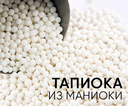 Тапиока: что это такое?