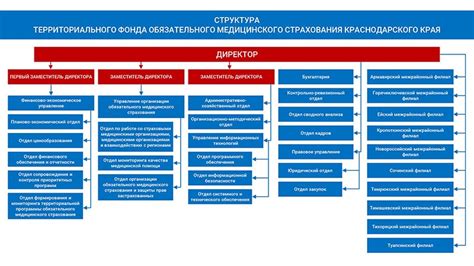 Территориальная организация