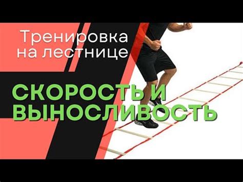 Тестирование и настройка параметров скорости и маневренности