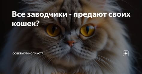 Тестирование умного кота