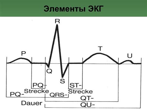 Техника выполнения ЭКГ