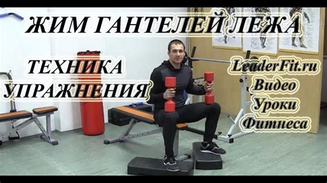 Техника выполнения жима гантелей