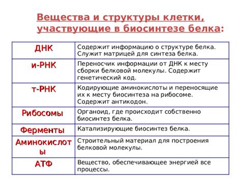 Техника построения белка