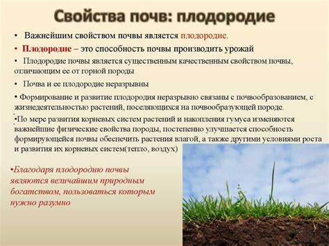 Типы грунтов и их особенности