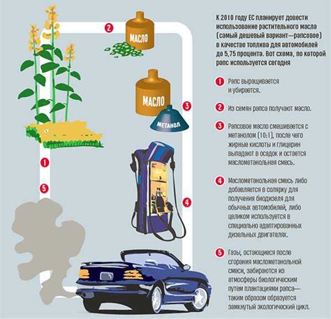 Типы топлива для огнива: какой выбрать