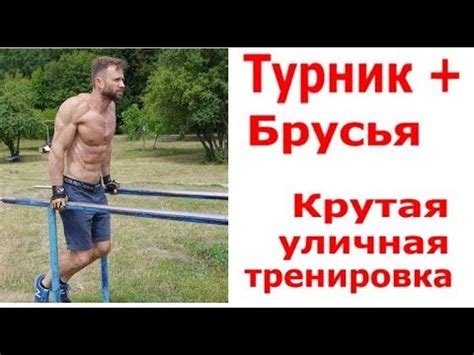 Тренировка на команды и поведение на улице