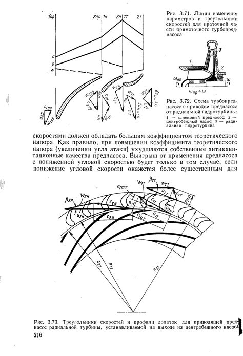 Треугольники в виде плечевых лопаток