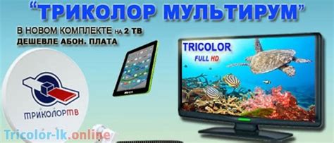 Триколор ТВ: что это такое?