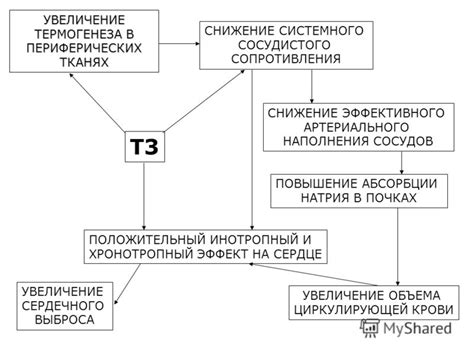 Увеличение термогенеза