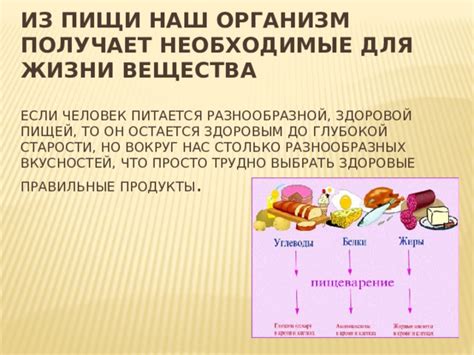 Улучшение усваиваемости пищи в старости