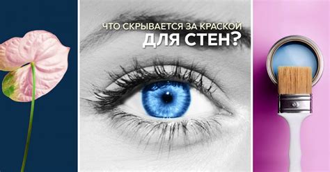 Улыбки и взгляды: что скрывается за ними?