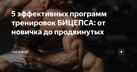 Уникальные способности и умения для увеличения бьянки: