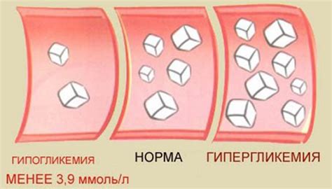 Усиление усваиваемости