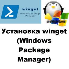 Установка и настройка Package Manager