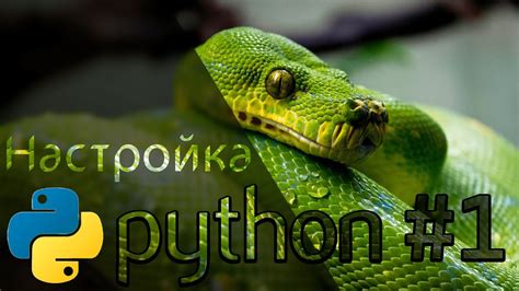 Установка и настройка Python IDE