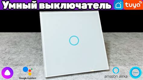 Установка и настройка Tuya Smart