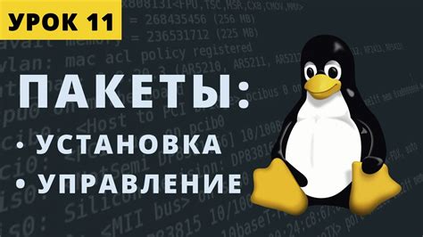 Установка и управление пакетами