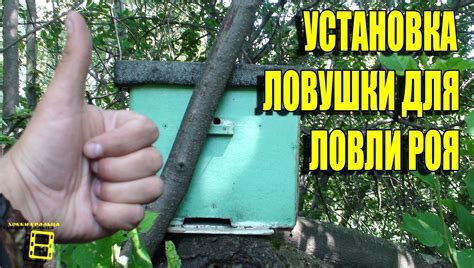 Установка ловушки: пошаговая инструкция для новичков