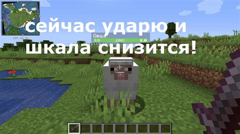 Установка мода neat