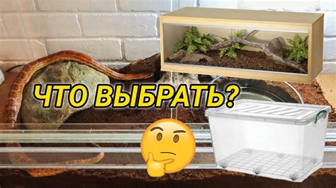 Установка предметов для активности полоза