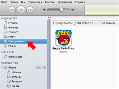 Установка программы на iPhone