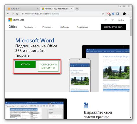 Установка программы MS Word