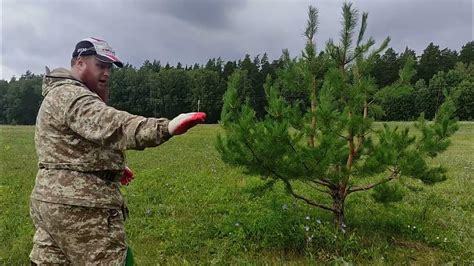 Установка следующих ярусов и их закрепление