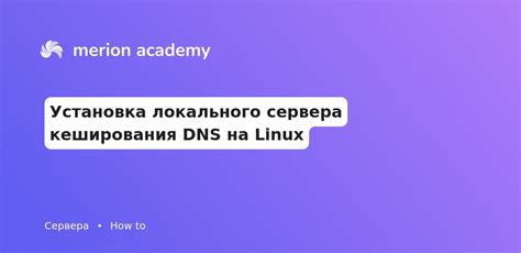 Установка DNS сервера на сервере Linux