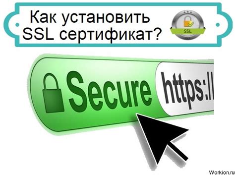 Установка SSL-сертификата в OpenServer