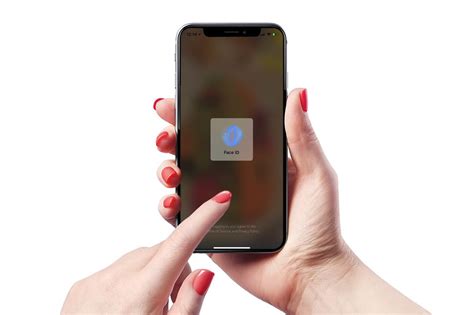 Установка Touch ID / Face ID