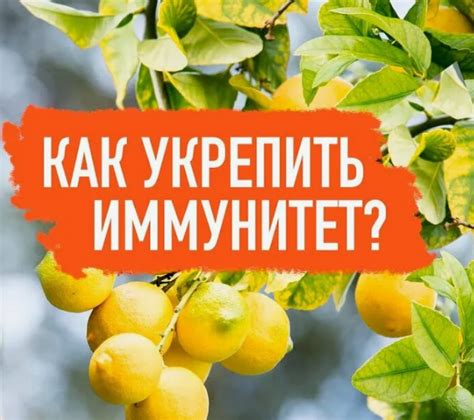 Устранение оселедца с помощью народных средств